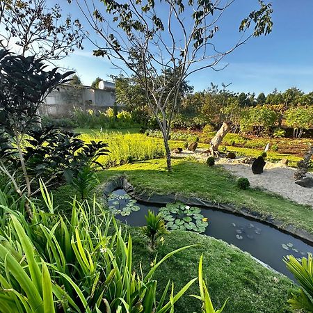 בואון מה ת'וט Dugiang Homestay מראה חיצוני תמונה
