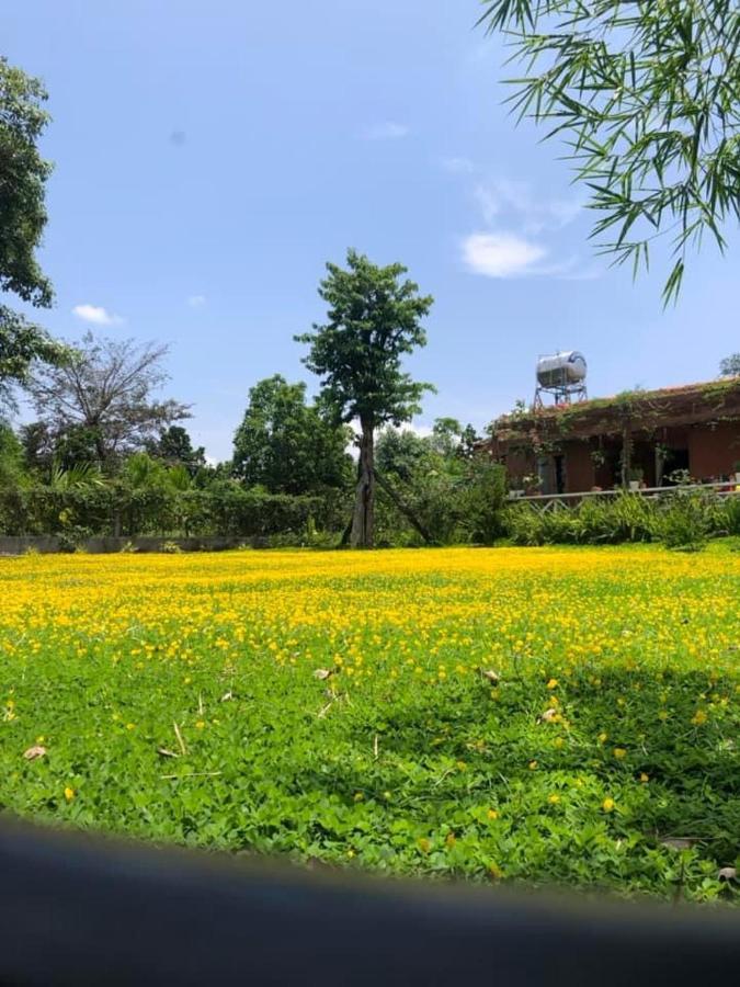 בואון מה ת'וט Dugiang Homestay מראה חיצוני תמונה