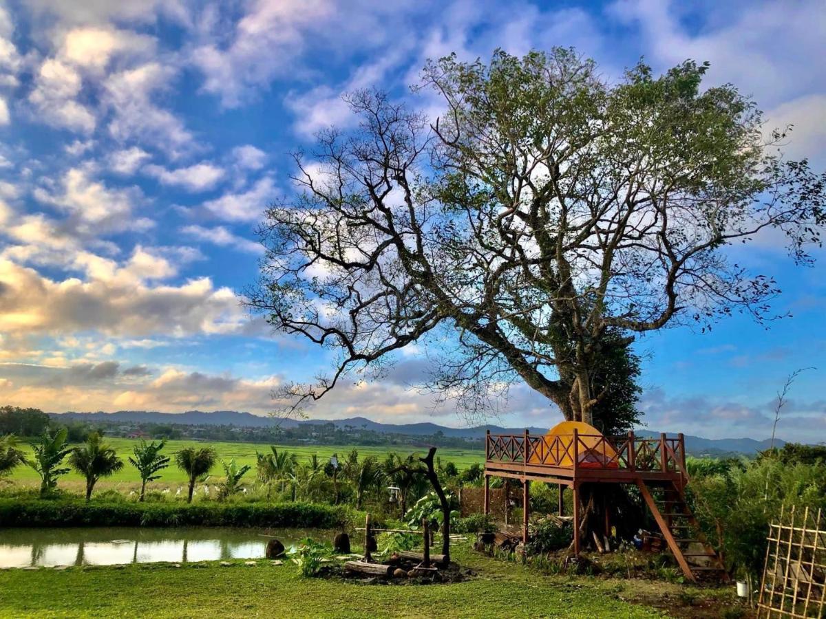 בואון מה ת'וט Dugiang Homestay מראה חיצוני תמונה